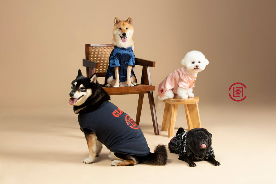 CLOT UNVEILS NEW PET APPAREL COLLECTION