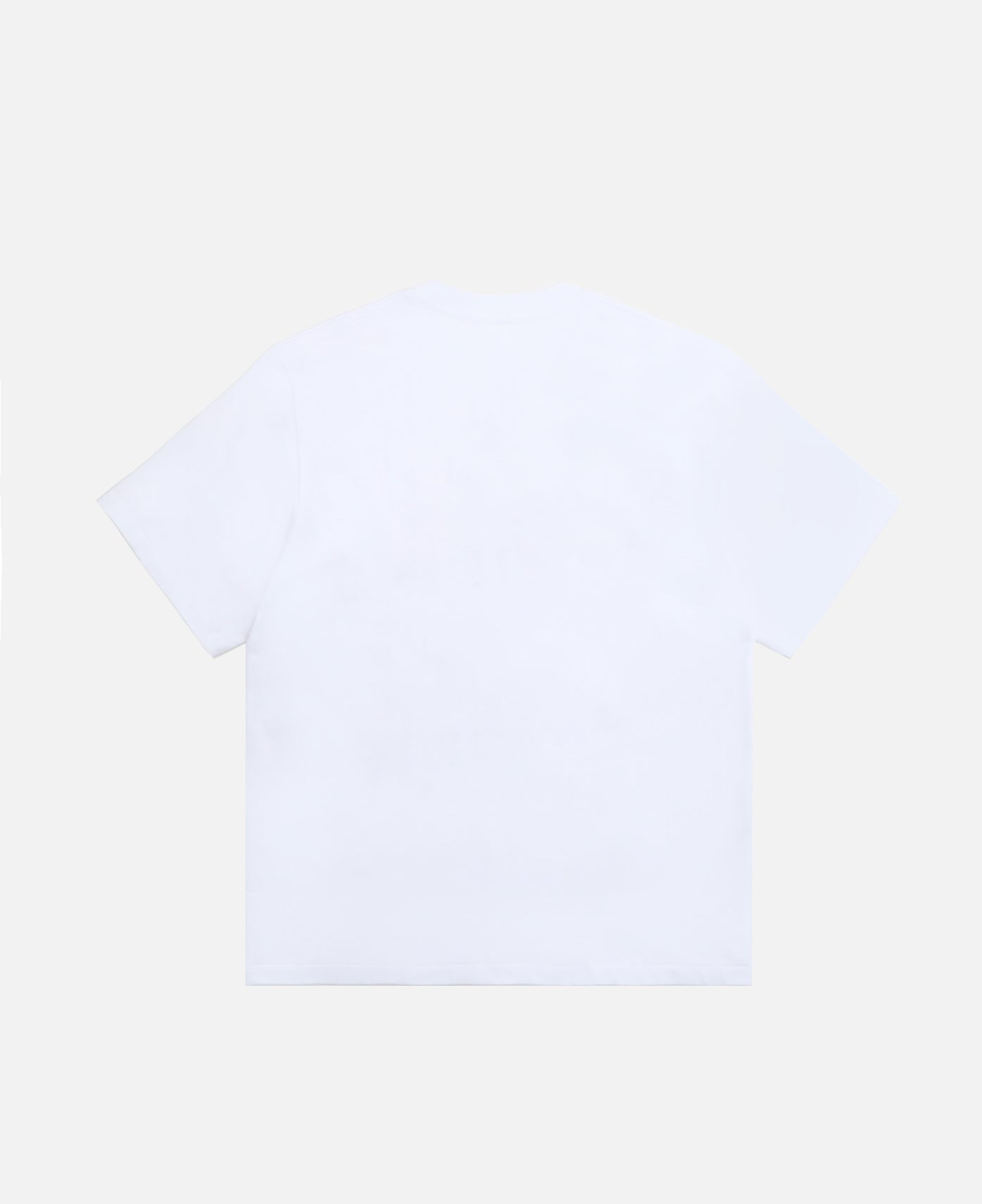 College Relaxed Fit  T-Shirt (White)