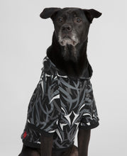 Egra Pet Hoodies (Black)