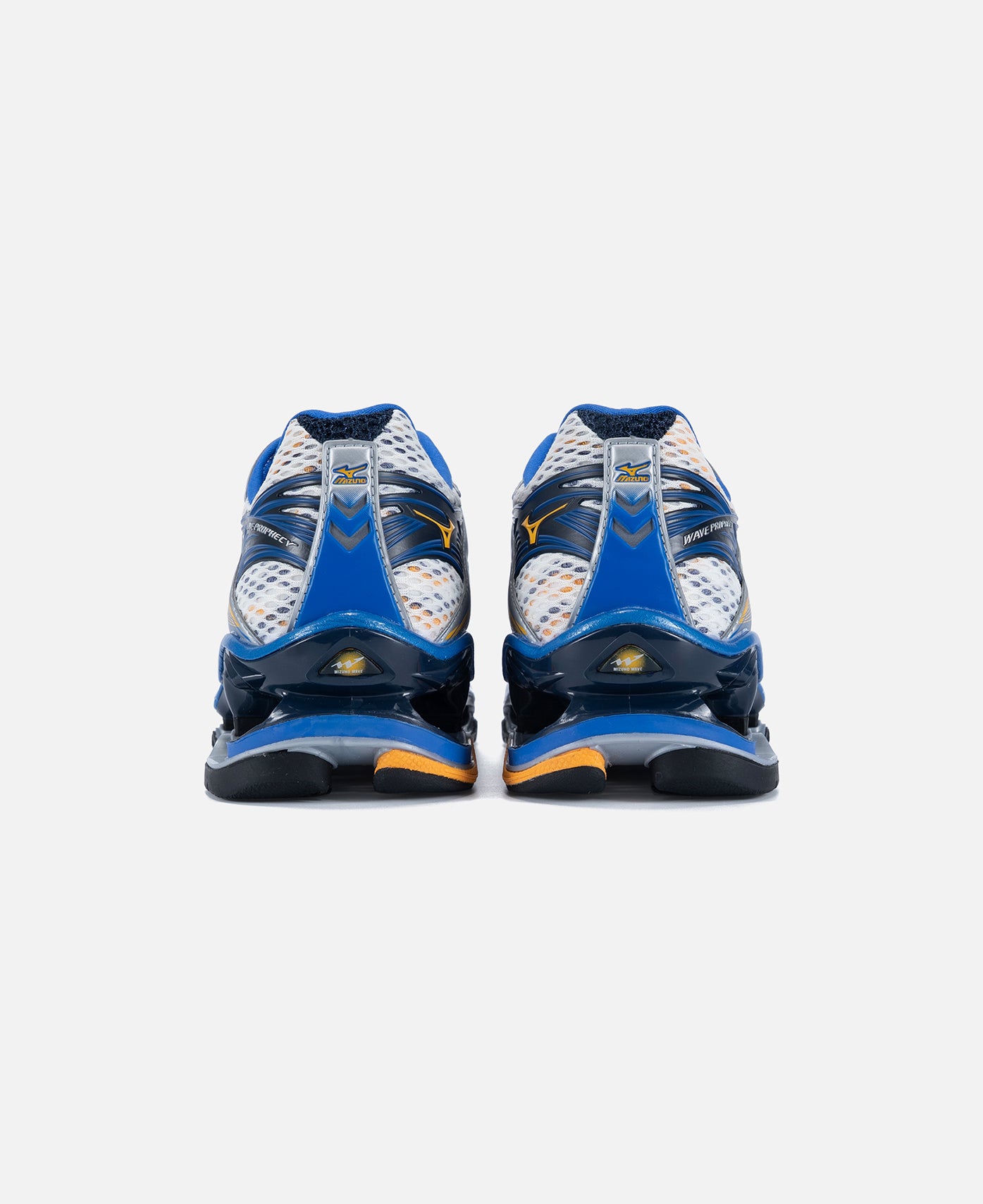 Wave Prophecy 1 (Silver)