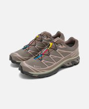 XT-6 GTX (Brown)